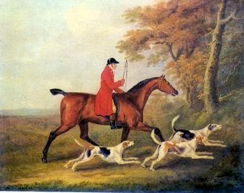 unknow artist Classical hunting fox, Equestrian and Beautiful Horses, 105. oil painting picture